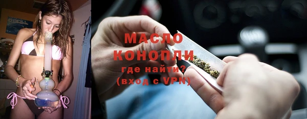 spice Богородицк