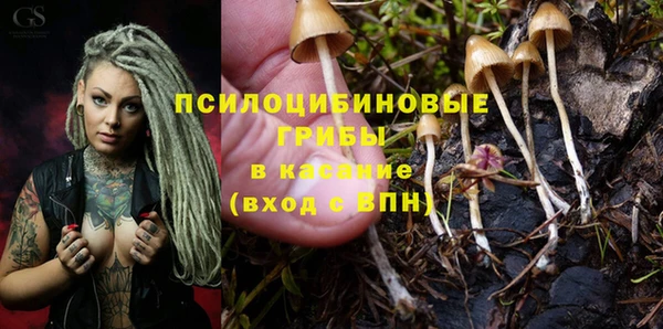 spice Богородицк