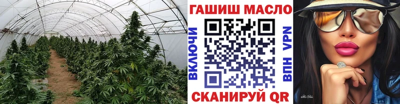 ТГК Wax как найти Вельск