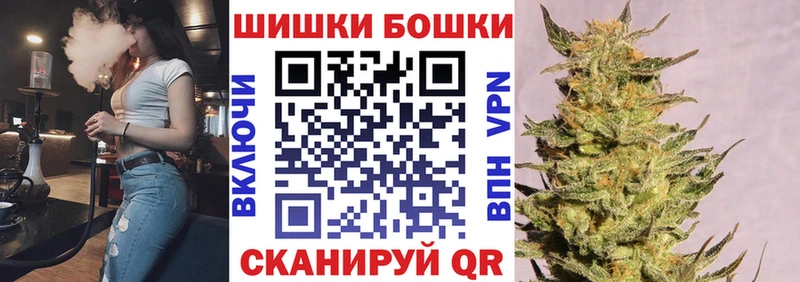Бошки Шишки планчик Вельск